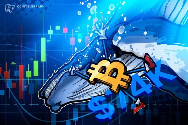 Balina alarmı: Dev kısa pozisyon Bitcoin fiyatını 74.000 dolara düşürebilir