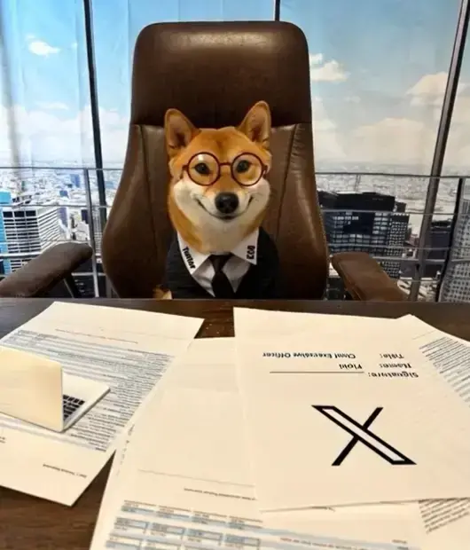 Prețul FLOKI în creștere cu peste 23% după postarea lui Elon Musk pe X – Sectorul memecoins crește