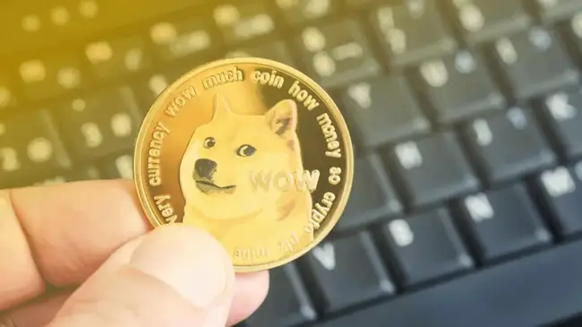 De ce criptomonedele inspirate din meme revin în centrul atenției investitorilor?