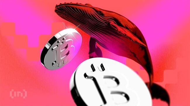 Un trader crypto parie tout sur l’effondrement de Bitcoin