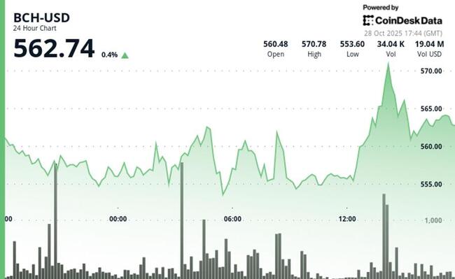 Ответвление Bitcoin, BCH, прибавляет 1% на фоне попытки преодоления нисходящего тренда
