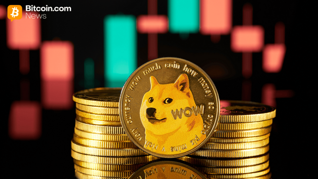 Meme Coin Effondrement : Des milliards s’évanouissent alors que les jetons blague cessent d’être drôles