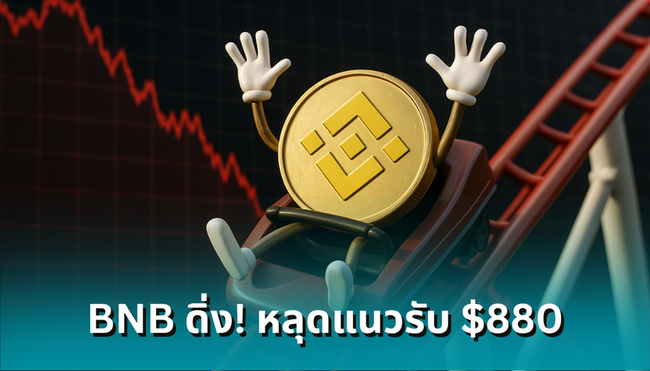BNB ร่วงหนัก! หลุดแนวรับ $880 ตลาดแดงฉาน-ล้างพอร์ตทะลุ 1.3 พันล้านเหรียญ