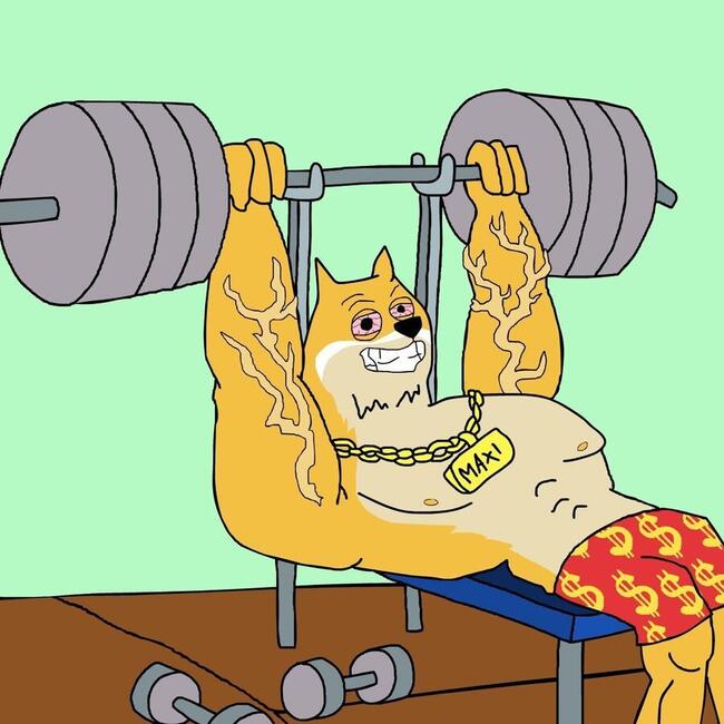 도지코인, 머스크 언급에도 제자리 ··· 새로운 대세 밈코인은?