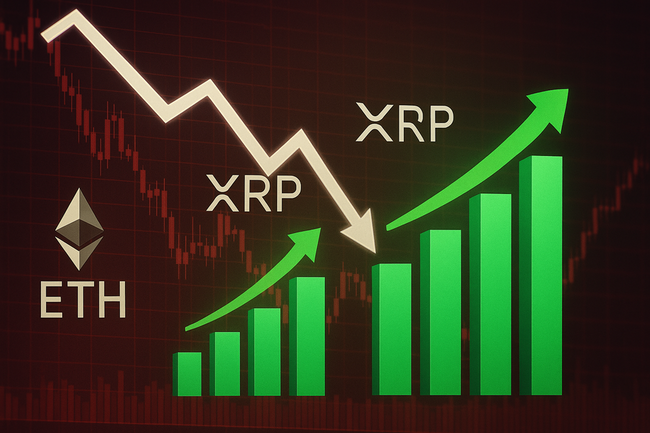 [롱/숏] 시장 불안해도…이더·XRP·BNB 급락은 기회로, ‘롱 베팅’ 강화