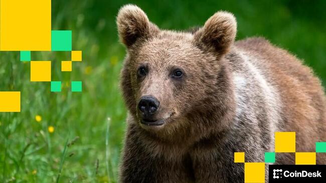 Рынок BTC теперь «крайне медвежий», заявляет QCP: Азиатское утреннее краткое изложение