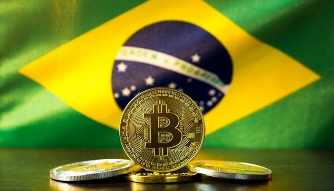 Deputada cria PL que impõe 5% de imposto para regularizar criptomoedas não declaradas