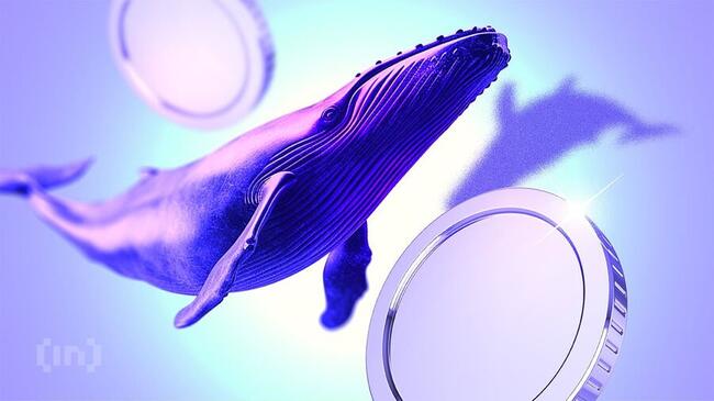 Que font les baleines crypto en plein rebond du marché ?