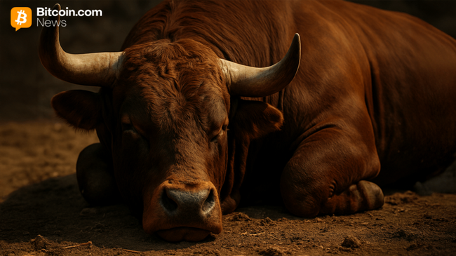 Prix du Bitcoin : La résistance à 107K $ tient alors que les taureaux perdent de la vitesse