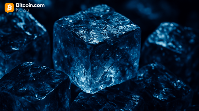 Bybit-Studie: 16 Blockchains haben Protokoll-Ebene-Fähigkeiten zur Einfrierung von Geldern