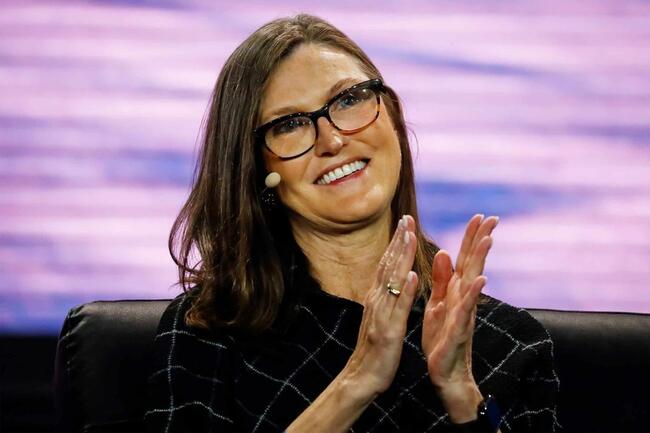 Circle 財報亮眼、股價卻暴跌！方舟投資斥 3,050 萬美元「逆勢抄底」