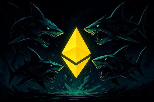 Tom Lee：現在不適合開槓桿！這波大跌只是加密做市商在「啃錢」