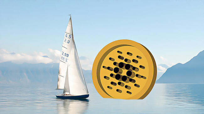 Cardano (ADA): Balina Tek Seferde 6 Milyon Doları Sildi