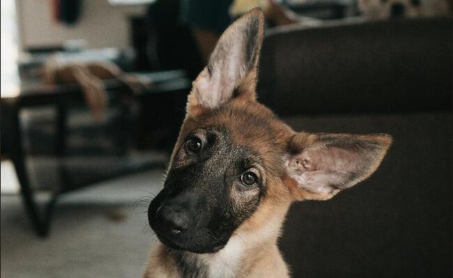 Азиатское утреннее обозрение: даже рынки прогнозов не ожидали распродажи биткоина