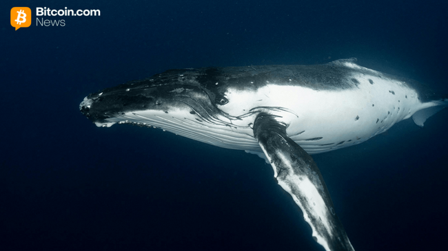 Ранний держатель Bitcoin завершает распродажу на $1,3 млрд с новым переводом в $230 млн на Kraken