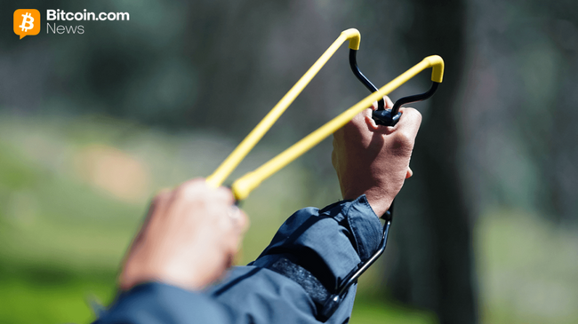 Bitcoins brutale Spülung bereitet die Bühne für einen heftigen Aufschwung vor.