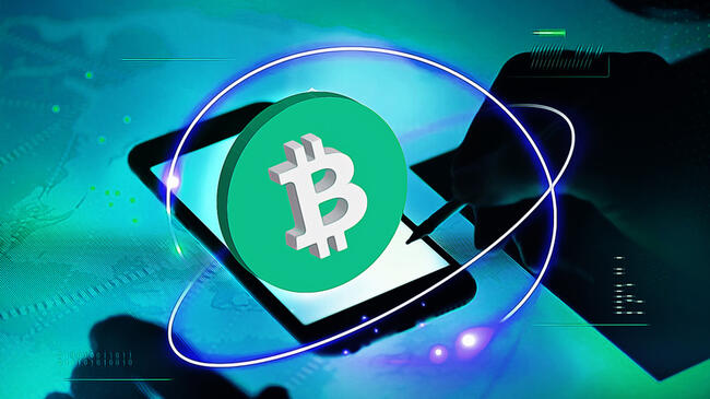 Bitcoin ETF Hacmi: Dalgalı Piyasa, Yüksek İşlem ve Yeni Endişeler