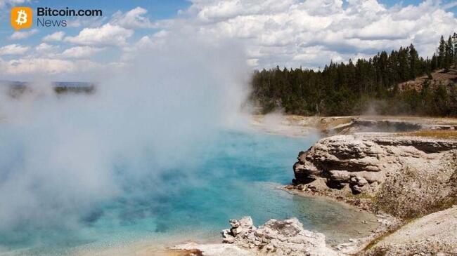 Delphi Digital: Institutioneller Kryptohunger ‘verdampft,’ Flüsse um 90% gesunken