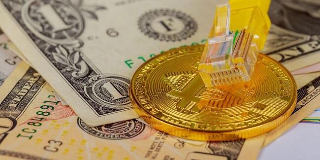 Son Dakika: Fed Üyesi Waller ve 10 Aralık Faiz Açıklamaları