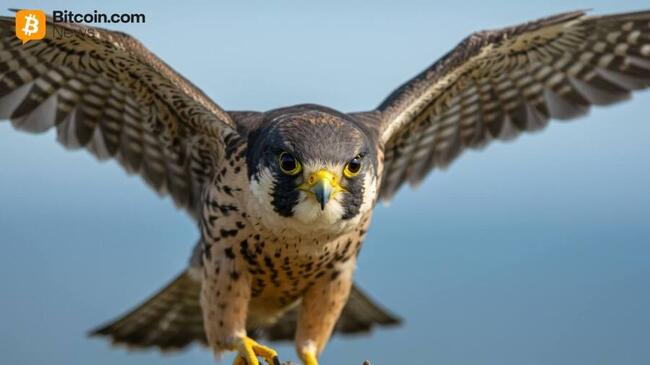 Falcon Finance расширяет набор залогов с токеном Centrifuge JAAA RWA на $1B