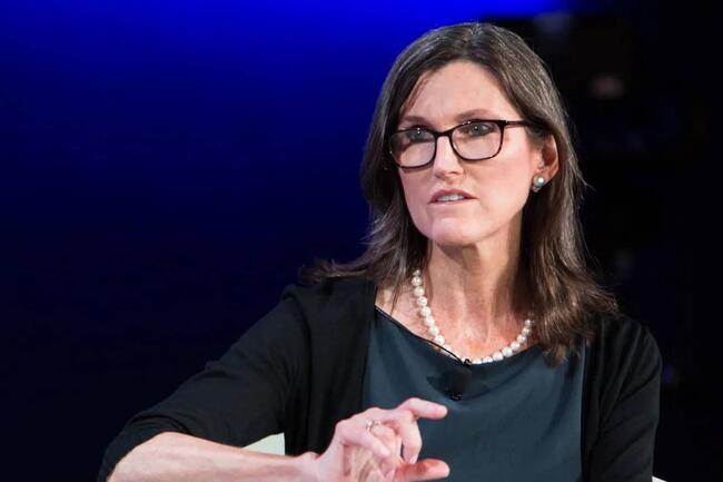 「女股神」又抄底！方舟加碼買進 Block 、 Circle 等加密幣概念股