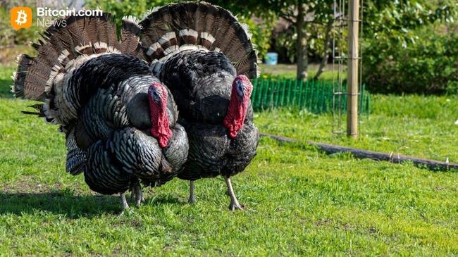 Hier ist der Grund, warum Bitcoin kurz vor Thanksgiving ansteigt