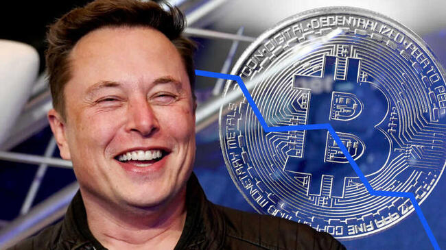 SpaceX 又轉出逾 1 億美元比特幣，市場揣測動機