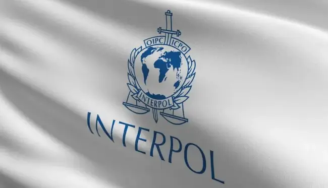 Interpol declara redes de golpes de criptomoedas ameaça global
