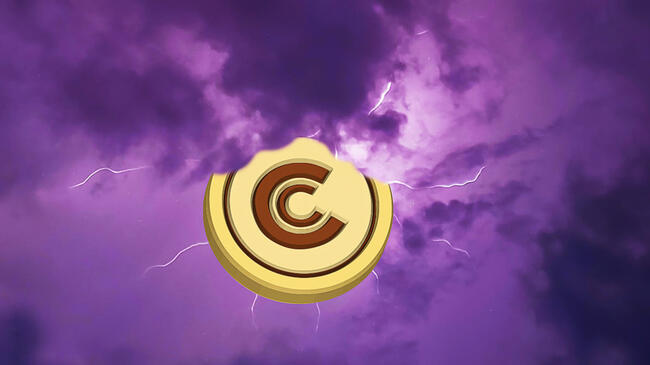 30 Kasım Kripto Paralarda Son Durum, Haftanın Altcoinleri