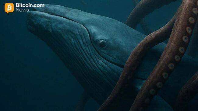 Криптовалютная биржа Kraken запускает элитную программу обслуживания для состоятельных инвесторов в цифровые активы