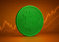 Bitcoin Cash Stuns the Market as the Top-Performing Layer-1 of the Year