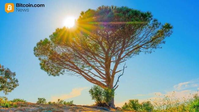 Wisdomtree lance un fonds stratégique d’options sur actions tokenisées pour les investisseurs axés sur les cryptomonnaies