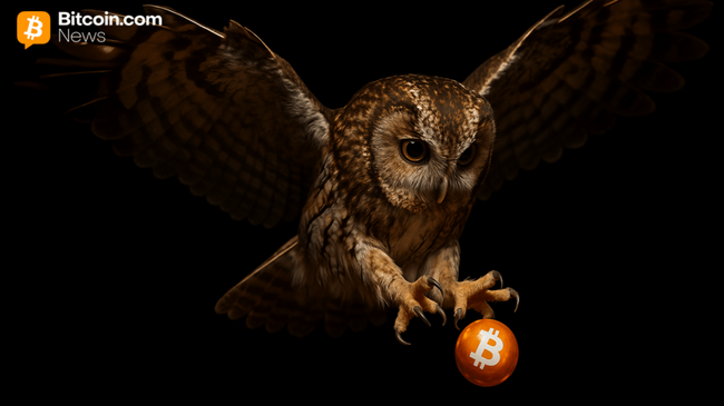 ‘Bitcoin After Dark’ ETF подан в SEC, поскольку Nicholas Wealth представляет стратегию только на ночь