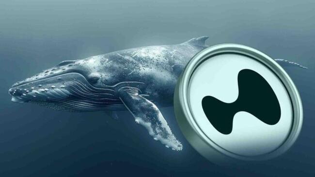 Hyperliquid 巨鲸风云录：有人一夜翻身，有人死于执念