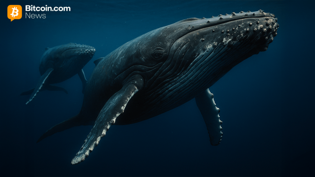 Cryptoquant: Große Inhaber ziehen sich zurück, Bitcoin gewinnt kurzfristig an Stärke zurück