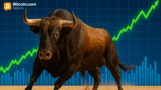 Bitwise ожидает колоссальный 2026 год — генеральный директор говорит, что «люди недостаточно оптимистичны»