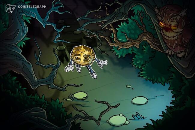 Kripto piyasası "dibi gördü" denilecek kadar korkmuş değil — Santiment