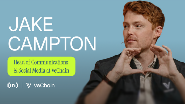 VET-Halter: Das musst du nach dem VeChain-Hayabusa-Upgrade wissen