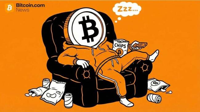 Fidelity-Makroanalyst: Bitcoin könnte im Jahr 2026 eine „Auszeit“ nehmen