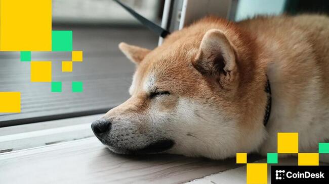 La dynamique des prix des memecoins canins dogecoin, shiba inu reste limitée en raison d’une faible liquidité pendant les vacances