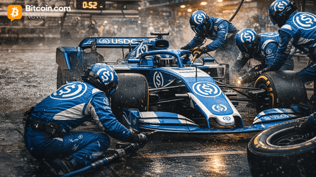 Рынок стейблкоинов делает передышку после пика в $310 млрд в декабре