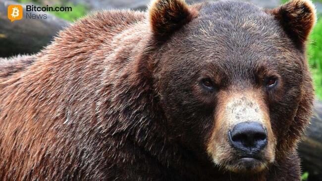 XRP Technischer Ausblick wird bärisch, da psychologische Unterstützung bei $2,00 getestet wird