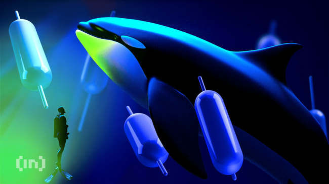 Monero (XMR) için Peter Brandt’tan “God Candle” Tahmini