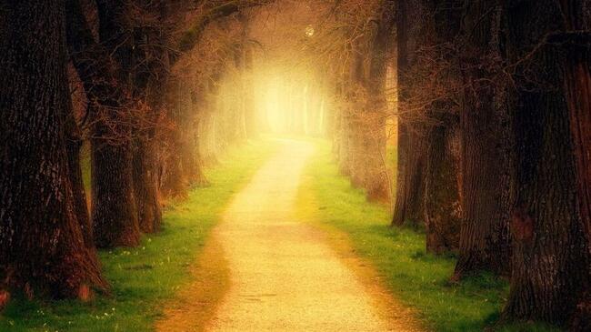 Биткоин прокладывает путь к $100 000, устланный золотом: Crypto Daybook Americas