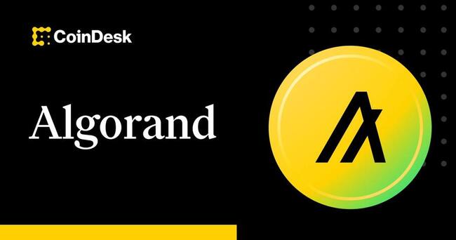 Фонд Algorand возвращается в США на фоне более благоприятного регулирования криптовалют при администрации Трампа