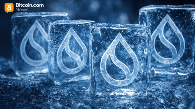 От блоков до остановки: перебои в работе основной сети Sui замораживают активность на блокчейне