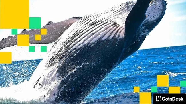 Une baleine Bitcoin se réveille après 12 ans pour déplacer une fortune de 84 millions de dollars