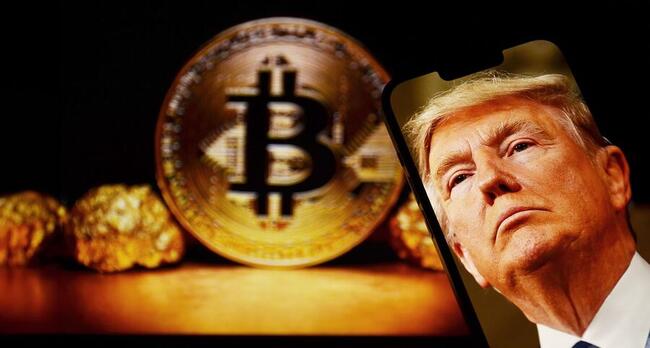 川普家族靠加密貨幣一年吸金 14 億美元！占淨資產總額約 20%