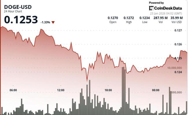 Dogecoin, likidasyon baskısının meme coinlere etkisiyle %2 değer kaybetti