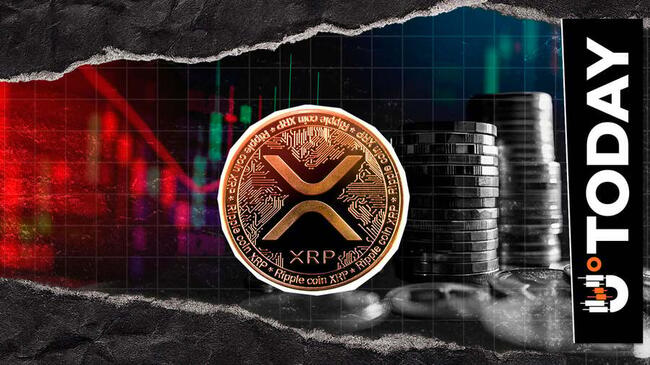 Did XRP Top Out? On-Chain Euphoria Might End Here